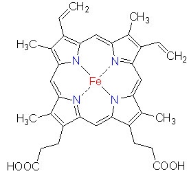13C