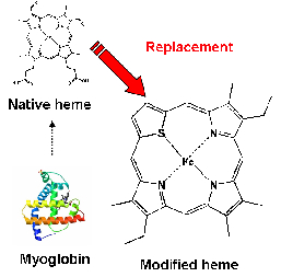 Porphyrin
