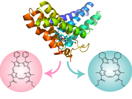 cytochrome_c