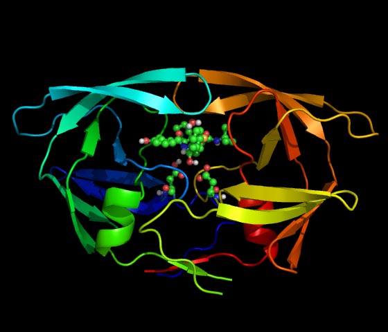HIV-1PR