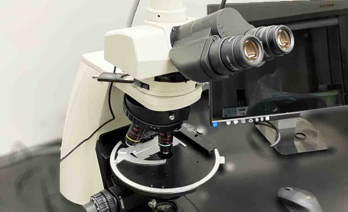 Polarized Microscopy