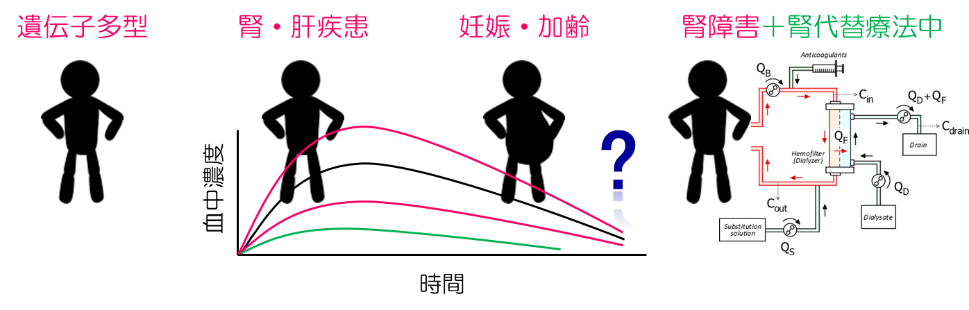 体験学習イメージ