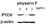 : : : : : physarin