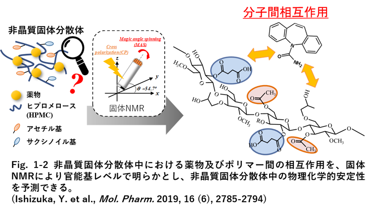 研究内容