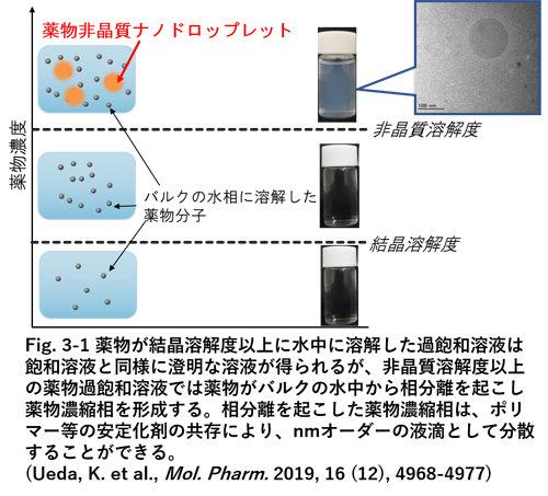 研究内容