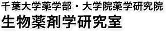 千葉大学薬学部・大学院薬学研究院　生物薬剤学研究室